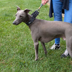 Martingale Collar product image 9