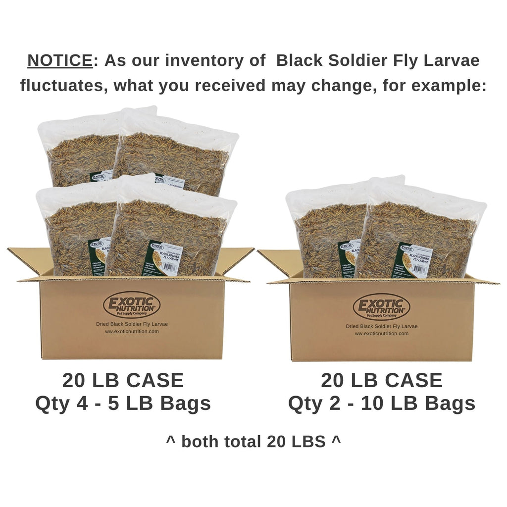 Dried Black Soldier Fly Larvae product image 3