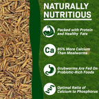Dried Black Soldier Fly Larvae product image 5