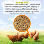 Dried Black Soldier Fly Larvae product image 6