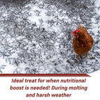 Dried Black Soldier Fly Larvae product image 8