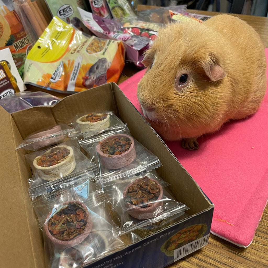 Small Animal Treats product image 4