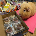 Small Animal Treats product image 4
