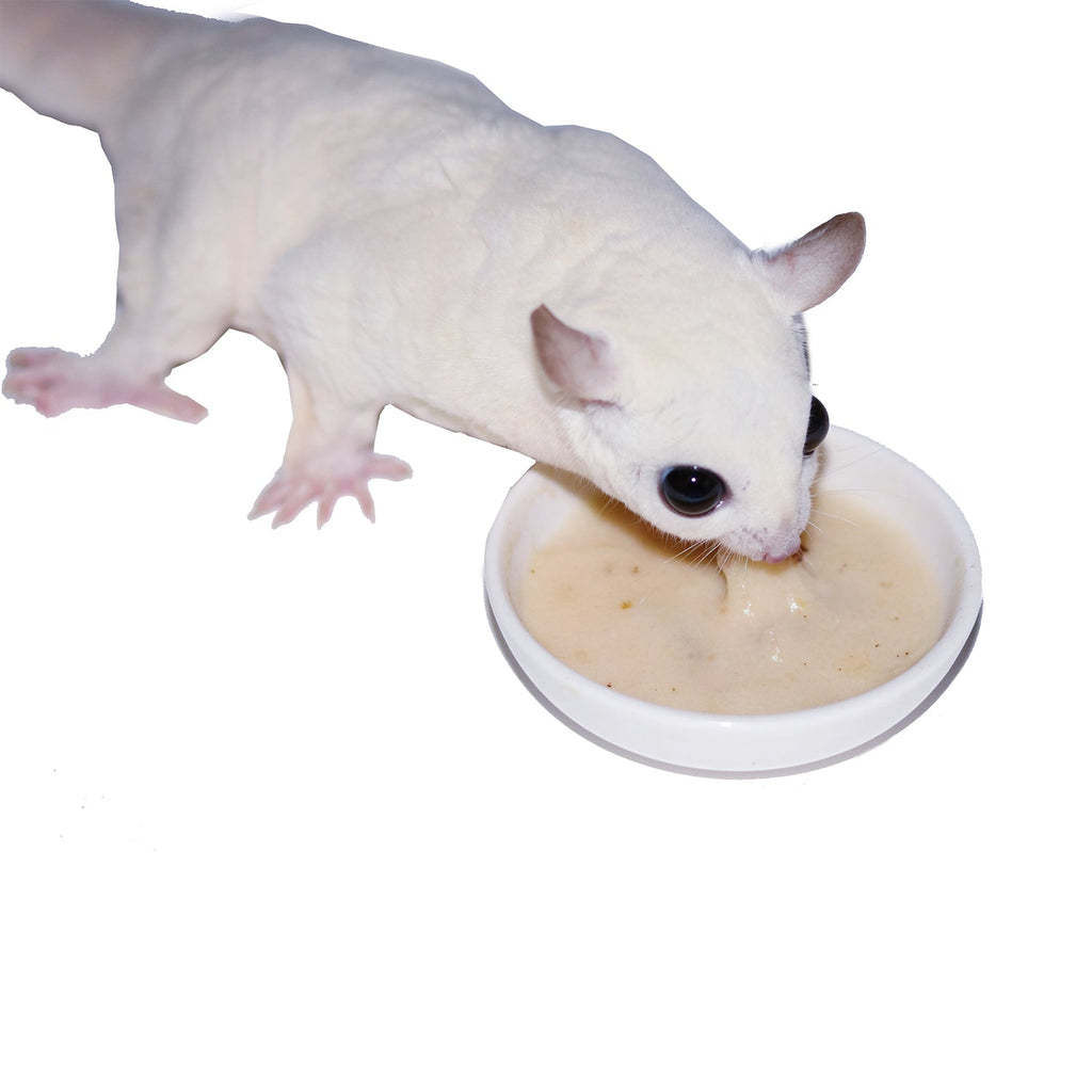 Sugar Glider Food product image 6