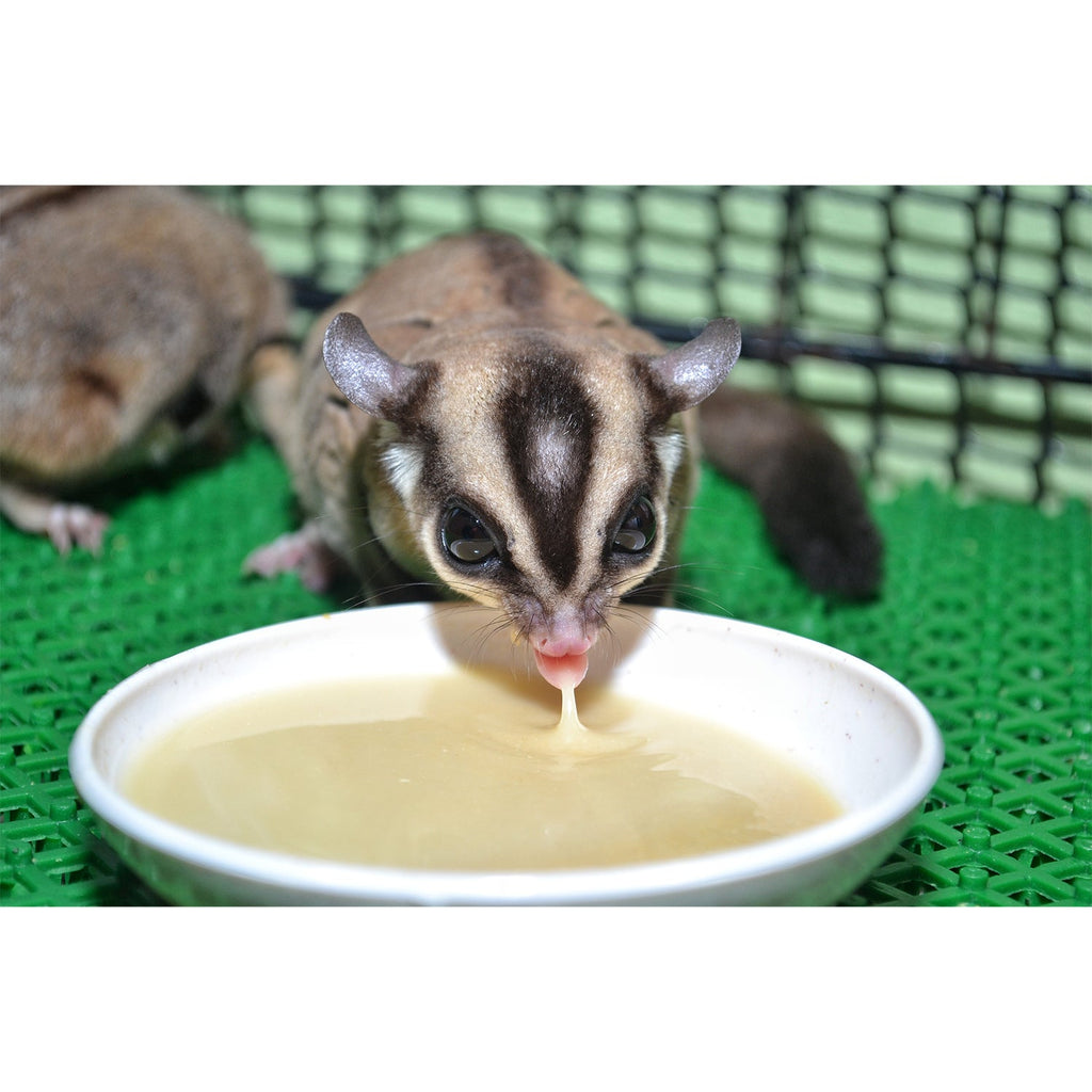 Sugar Glider Food product image 7