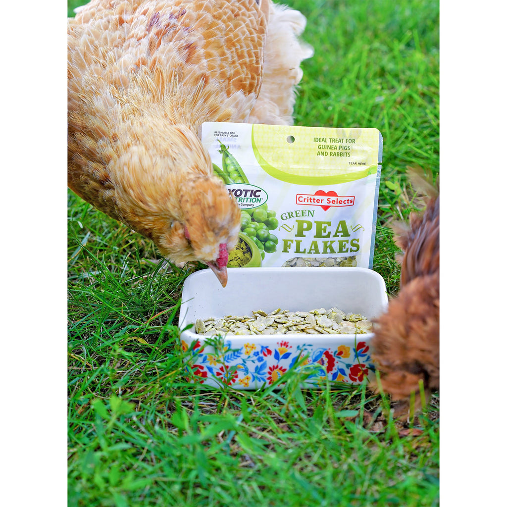 Green Pea Flake Small Pet Treats product image 4