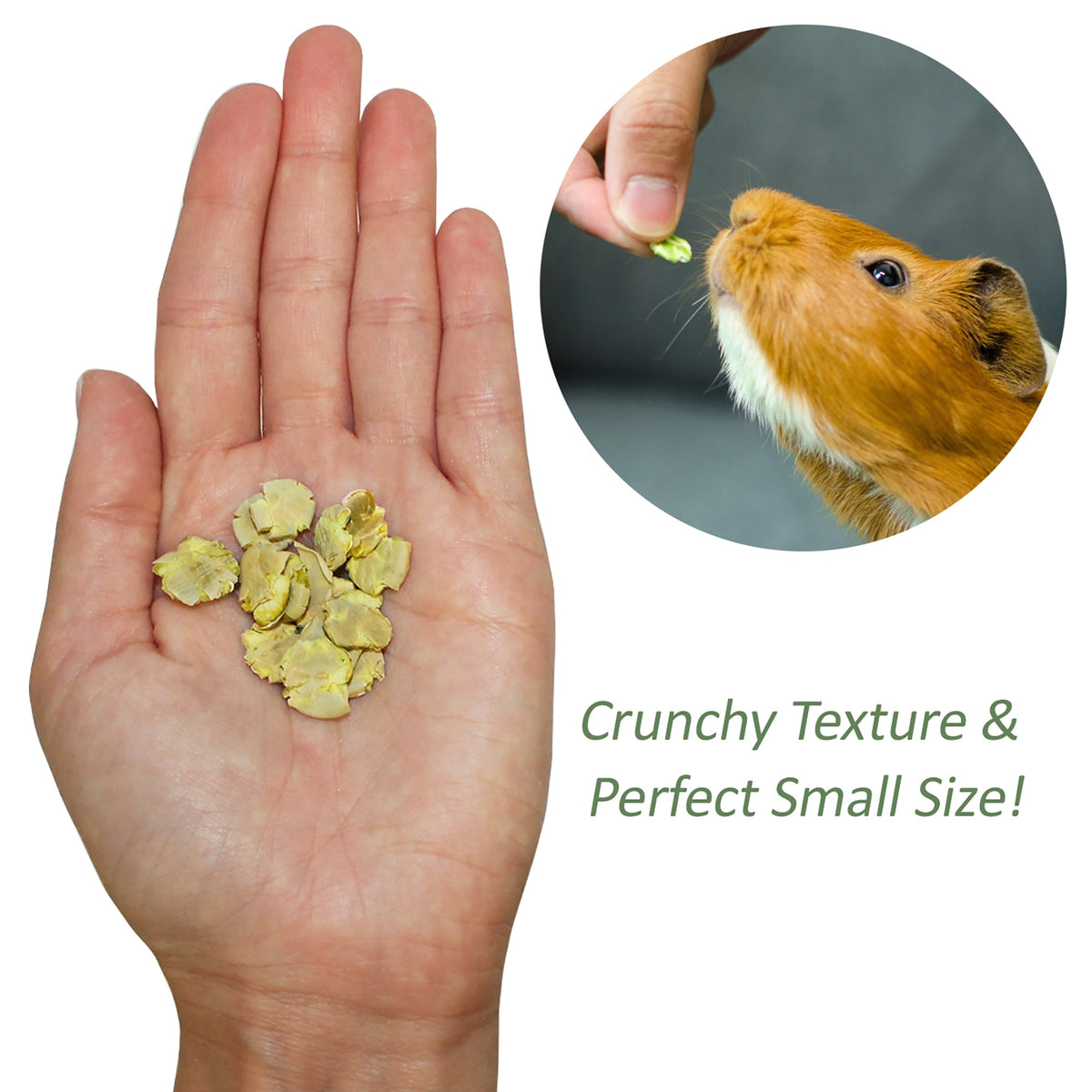 Green Pea Flake Small Pet Treats product image 5