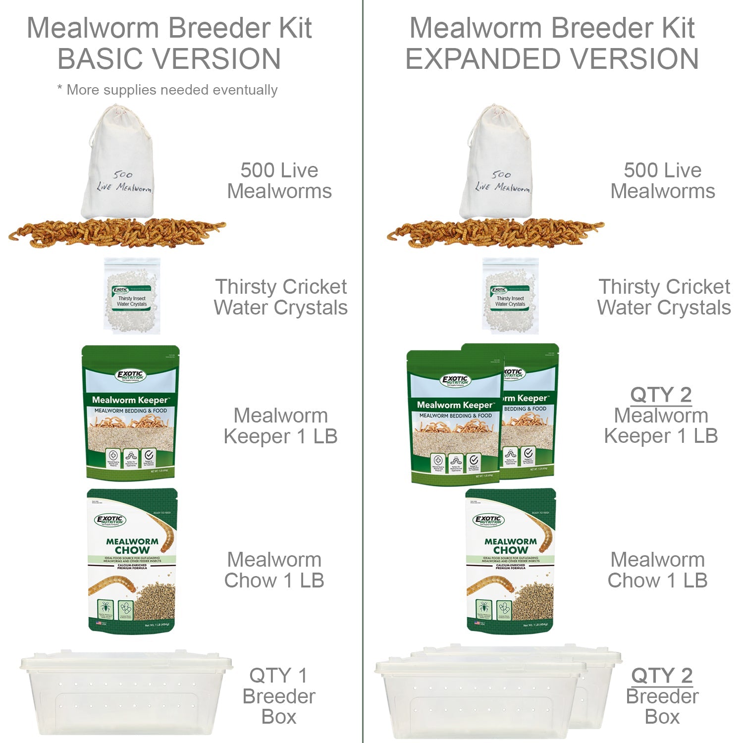 Mealworm Breeder Kit product image 2