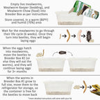 Mealworm Breeder Kit product image 4