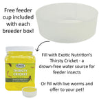 Mealworm Breeder Kit product image 8