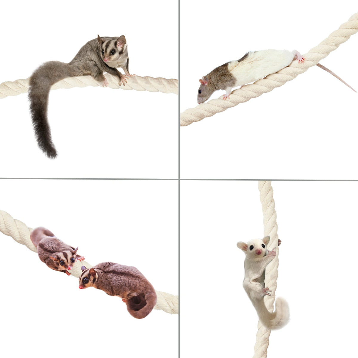 Pet Climbing Rope product image 2