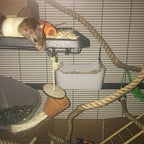 Pet Climbing Rope product image 7