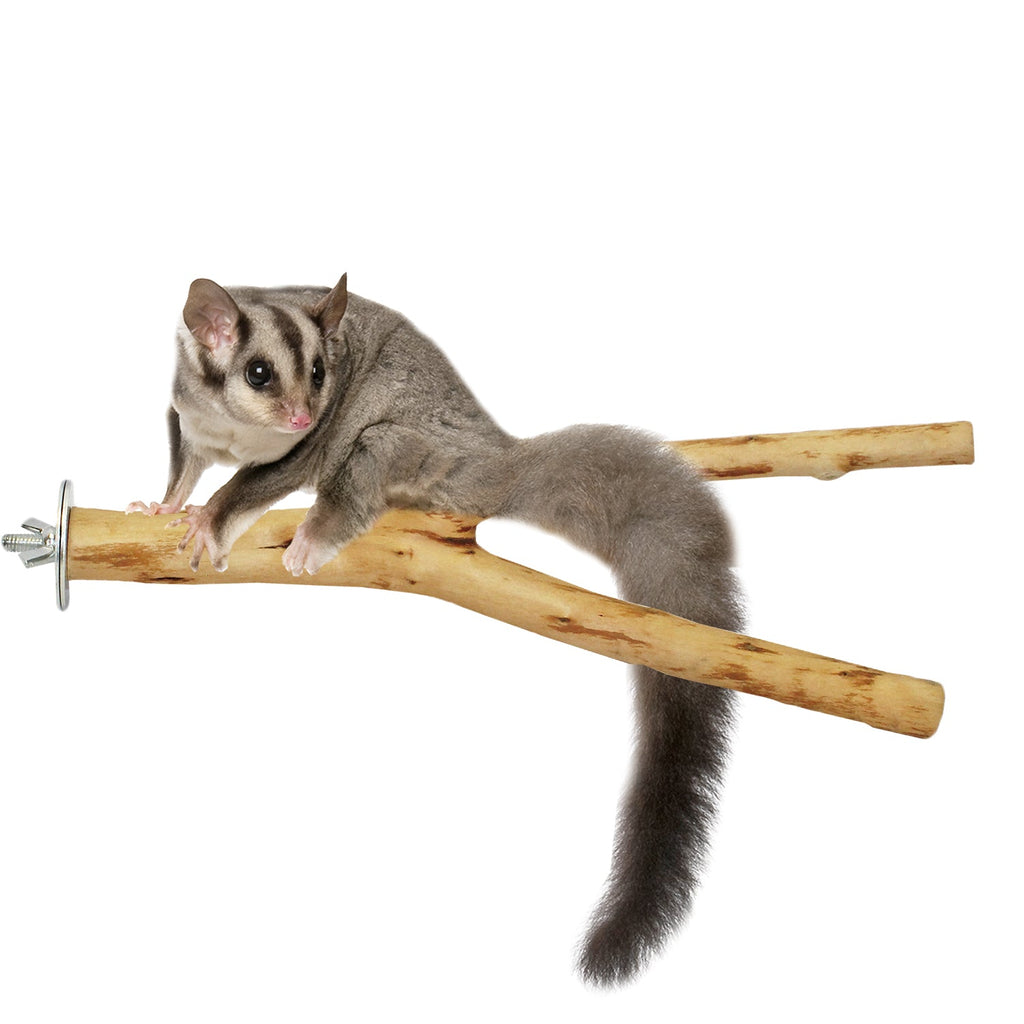 Natural Wood Cage Perch product image 2