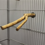 Natural Wood Cage Perch product image 4