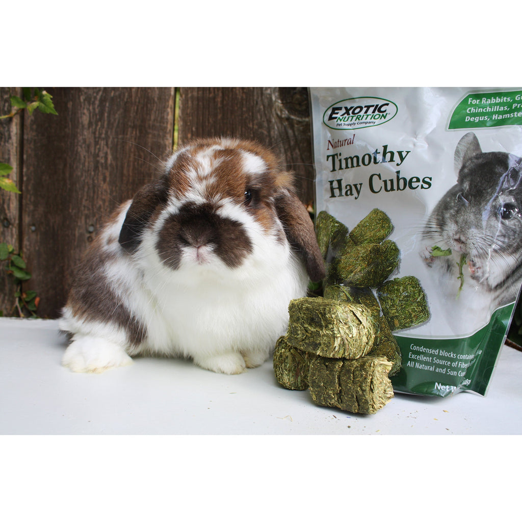 Timothy Hay Cubes product image 2