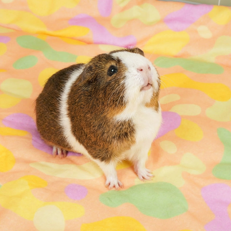 Guinea Pig Fleece Liner product image 3