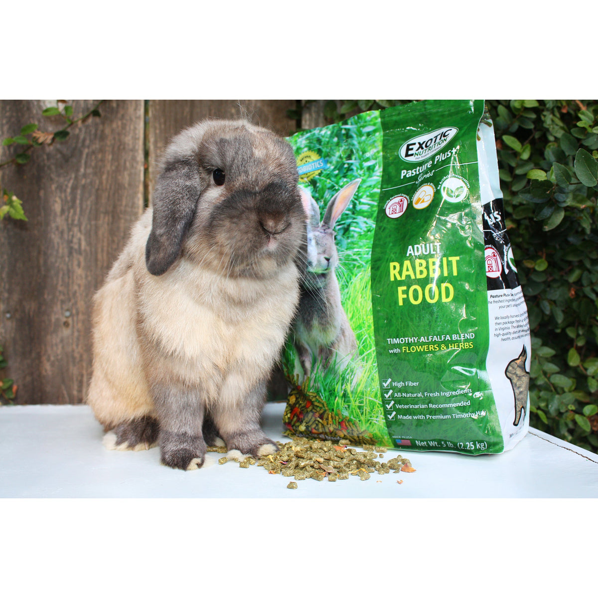 Rabbit Food product image 3