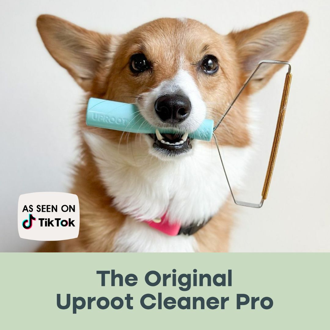 Pet Hair Remover product image 5