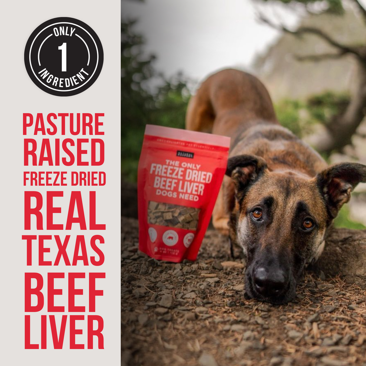 Freeze Dried Dog Treats product image 2