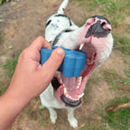 Dog Chew Toy product image 14
