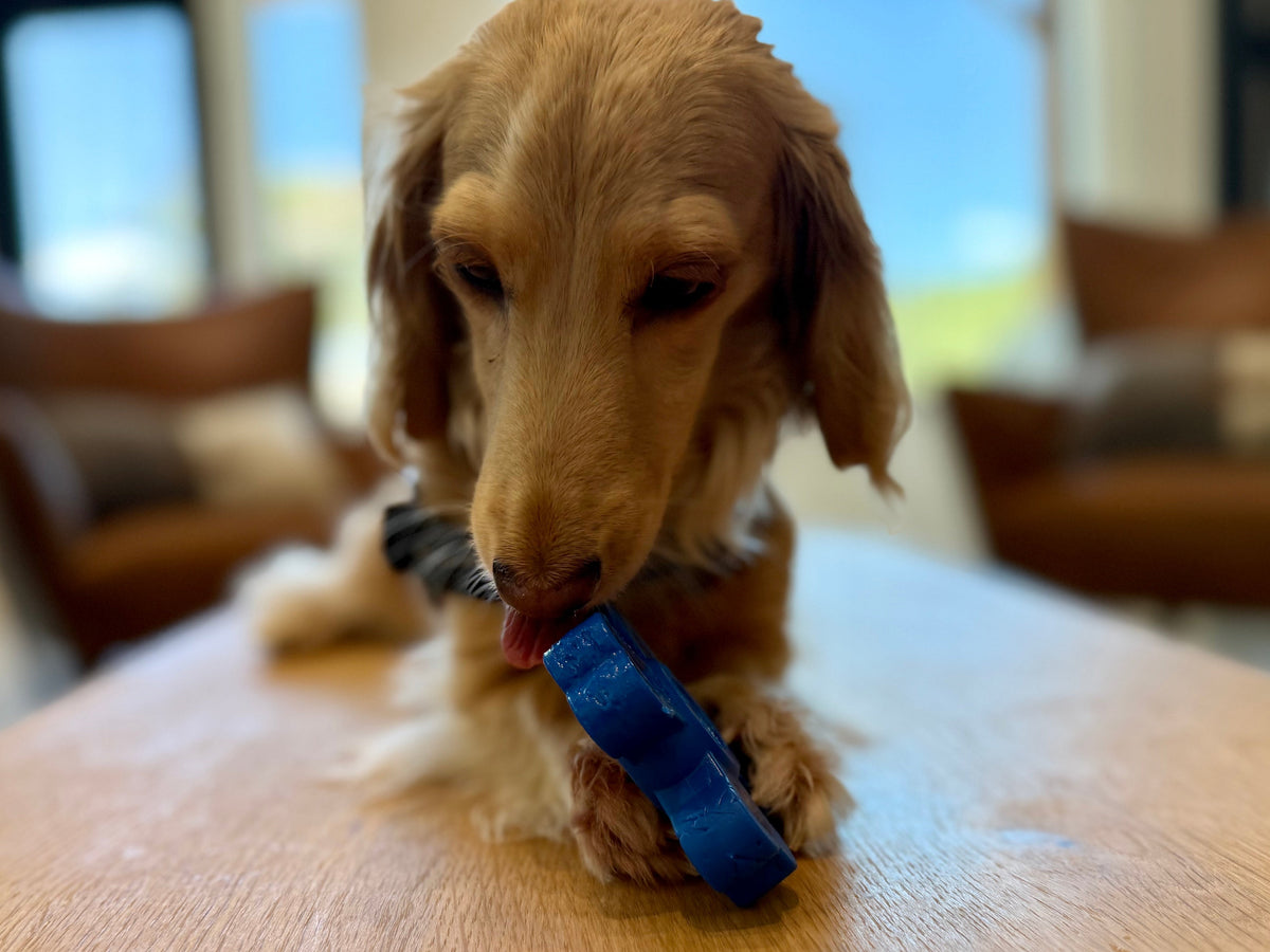 Dog Chew Toy product image 16