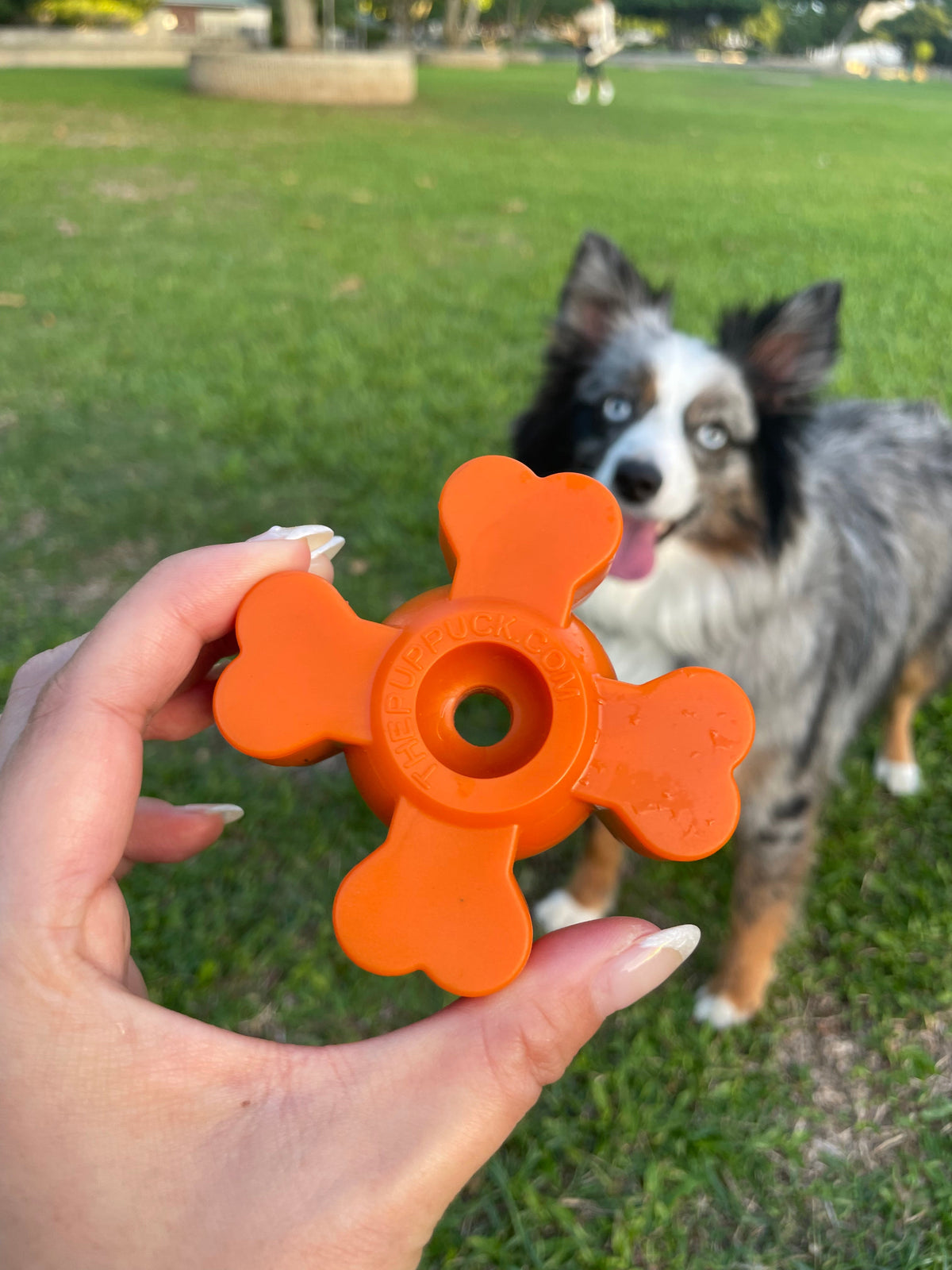 Dog Chew Toy product image 22