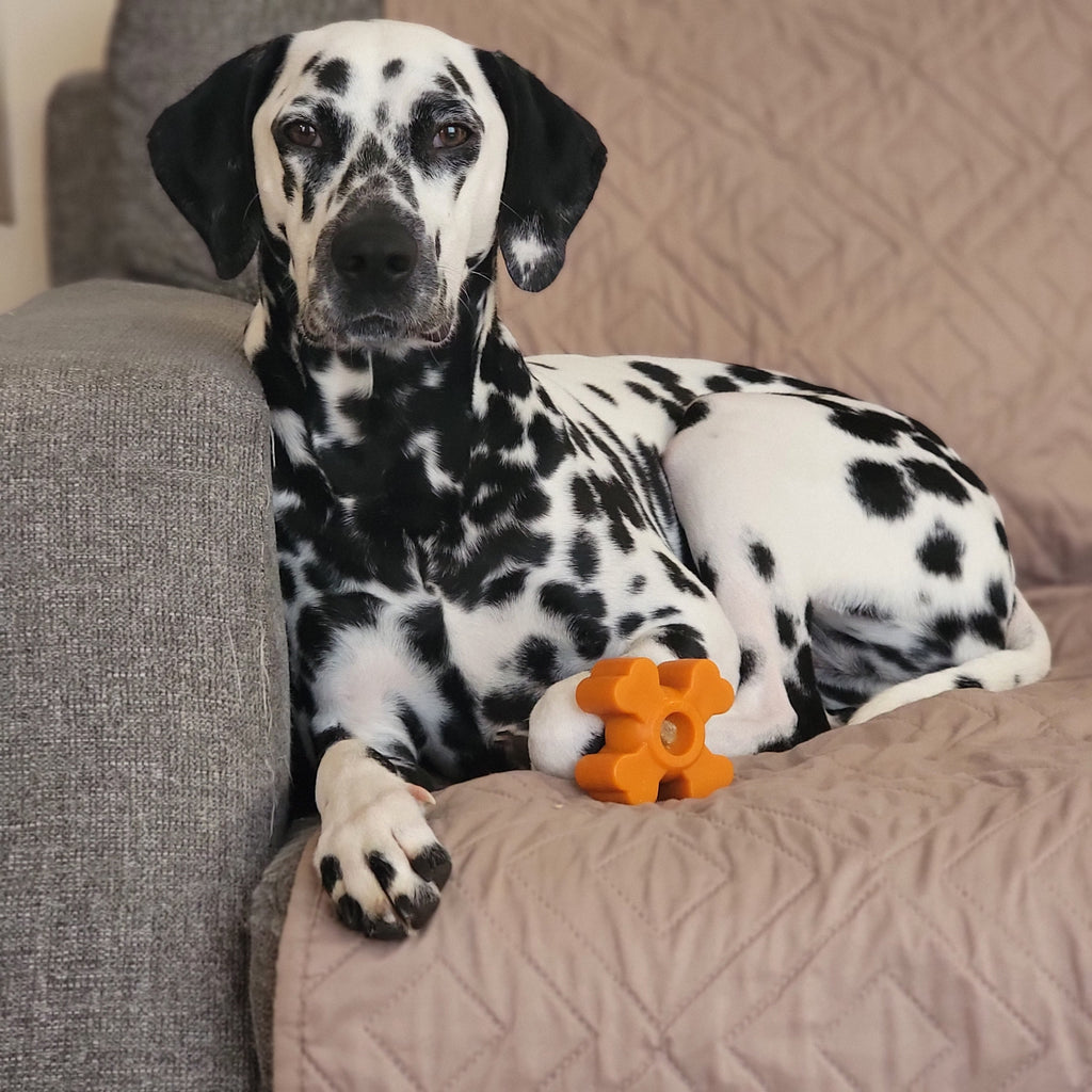 Dog Chew Toy product image 23