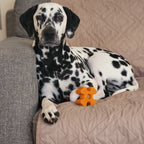 Dog Chew Toy product image 23