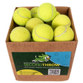 Dog Tennis Balls product image 1