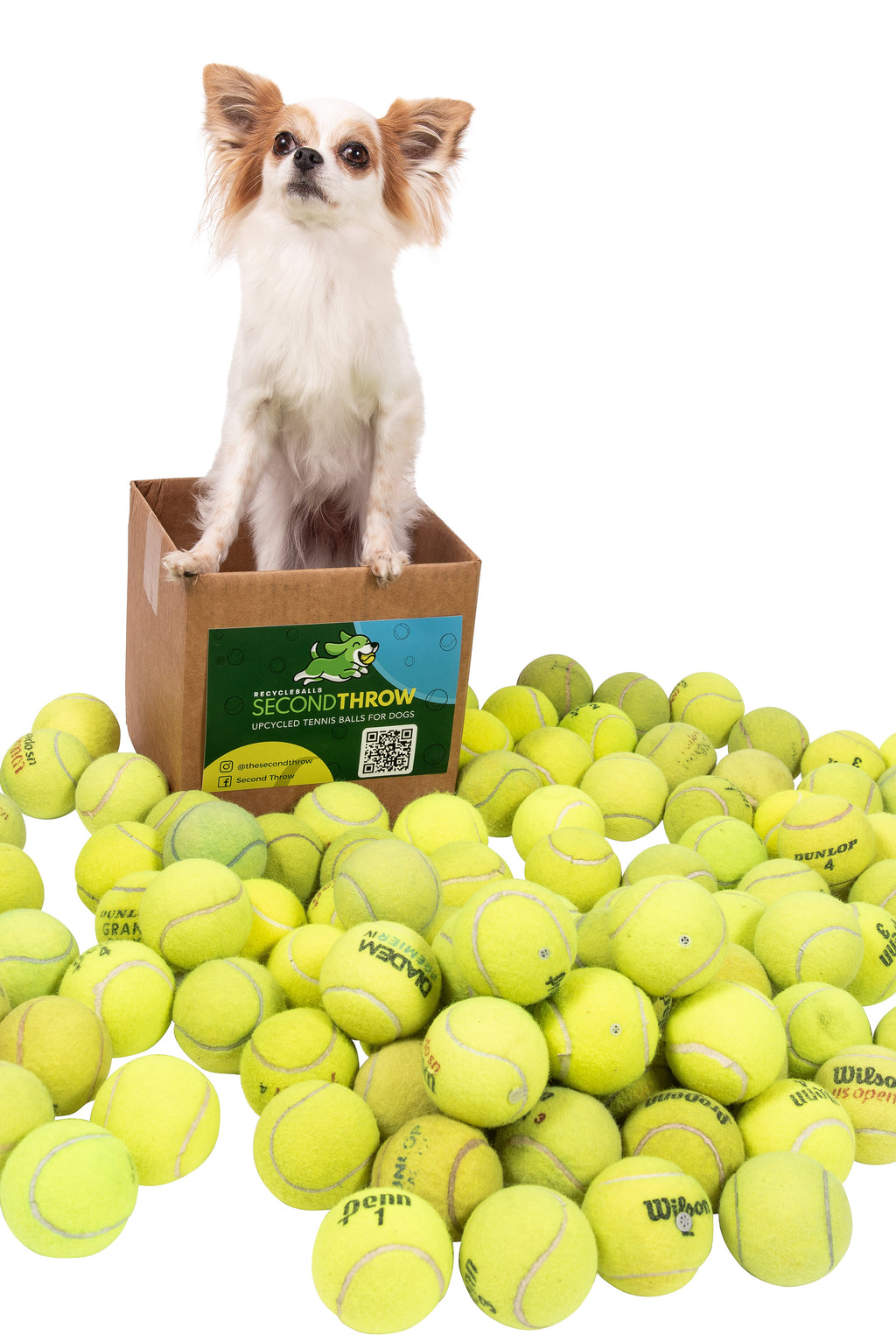 Dog Tennis Balls product image 7
