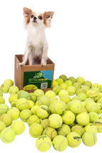 Dog Tennis Balls product image 7