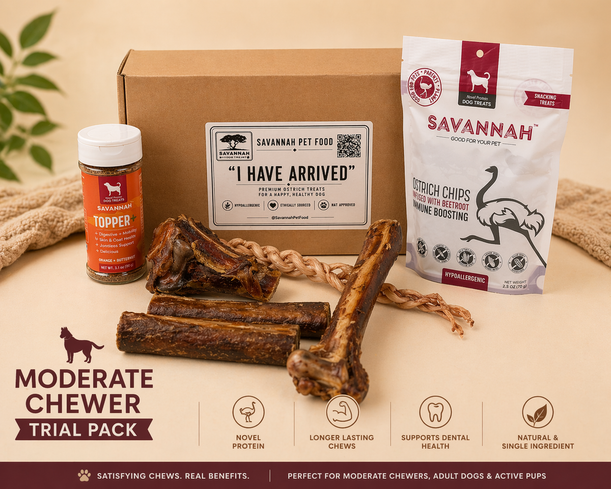 Dog Treat Trial Pack product image 1