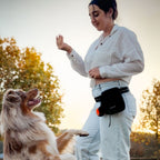 Dog Treat Pouch product image 3