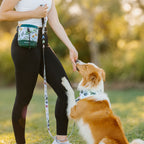 Dog Treat Pouch product image 10