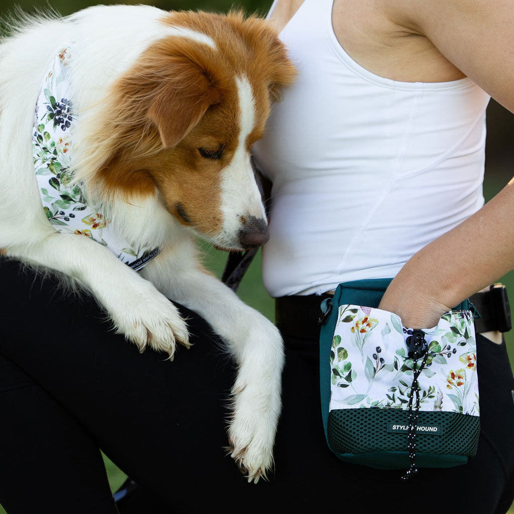 Dog Treat Pouch product image 11