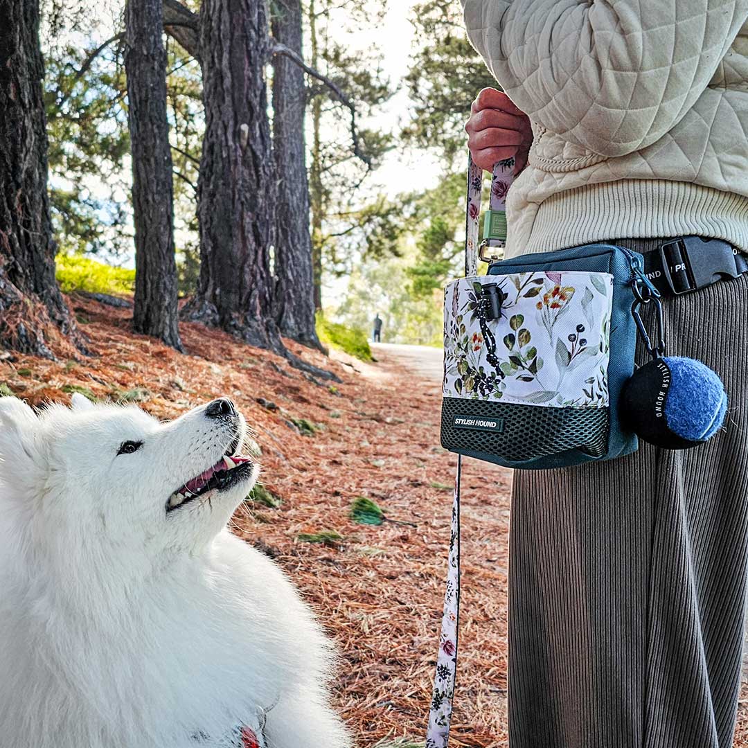 Dog Treat Pouch product image 13