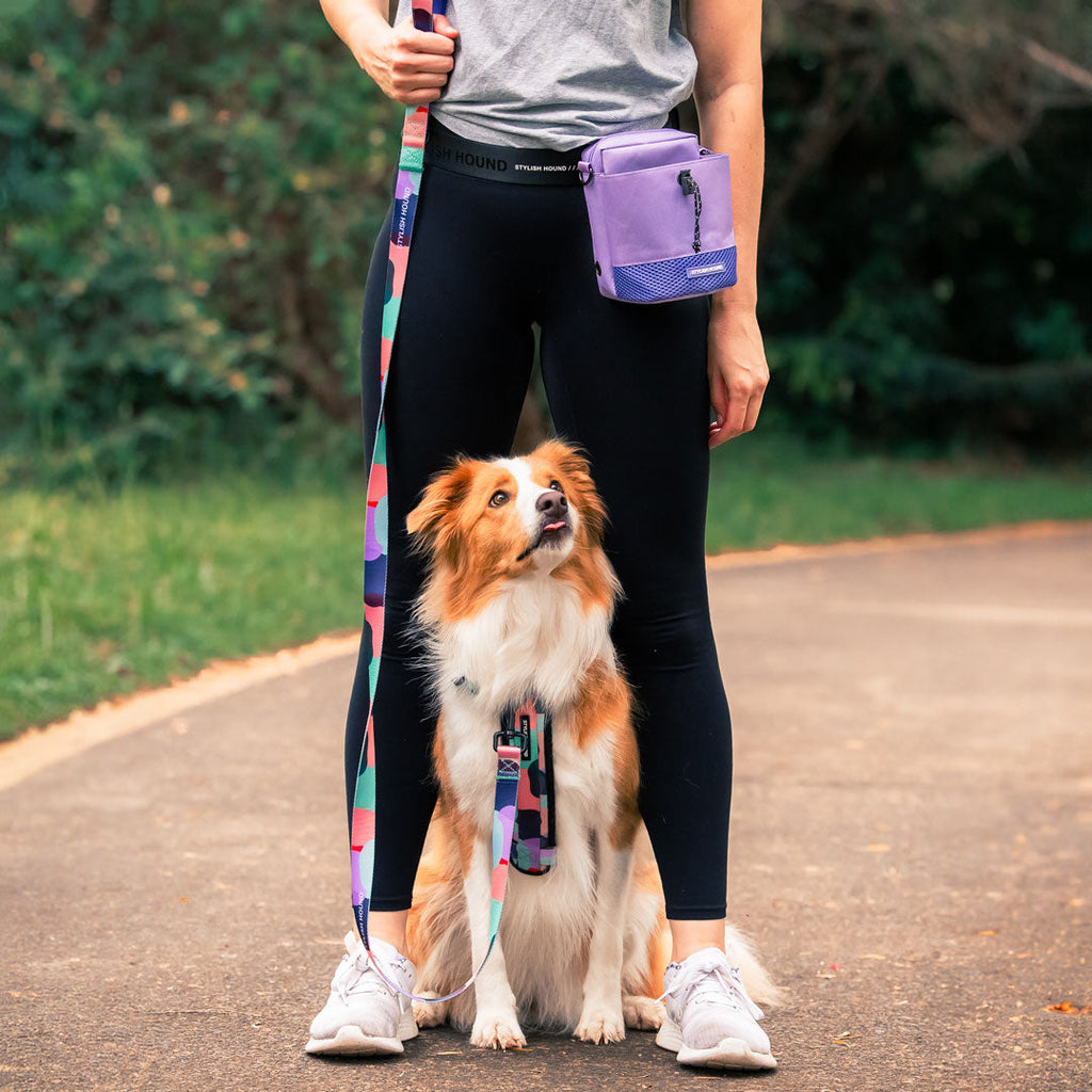 Dog Treat Pouch product image 19