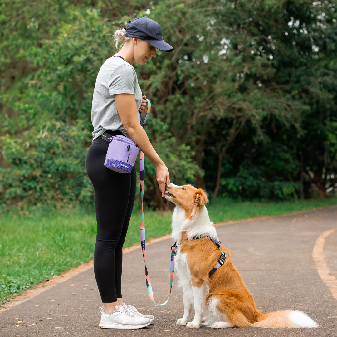 Dog Treat Pouch product image 21