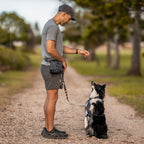 Dog Treat Pouch product image 30