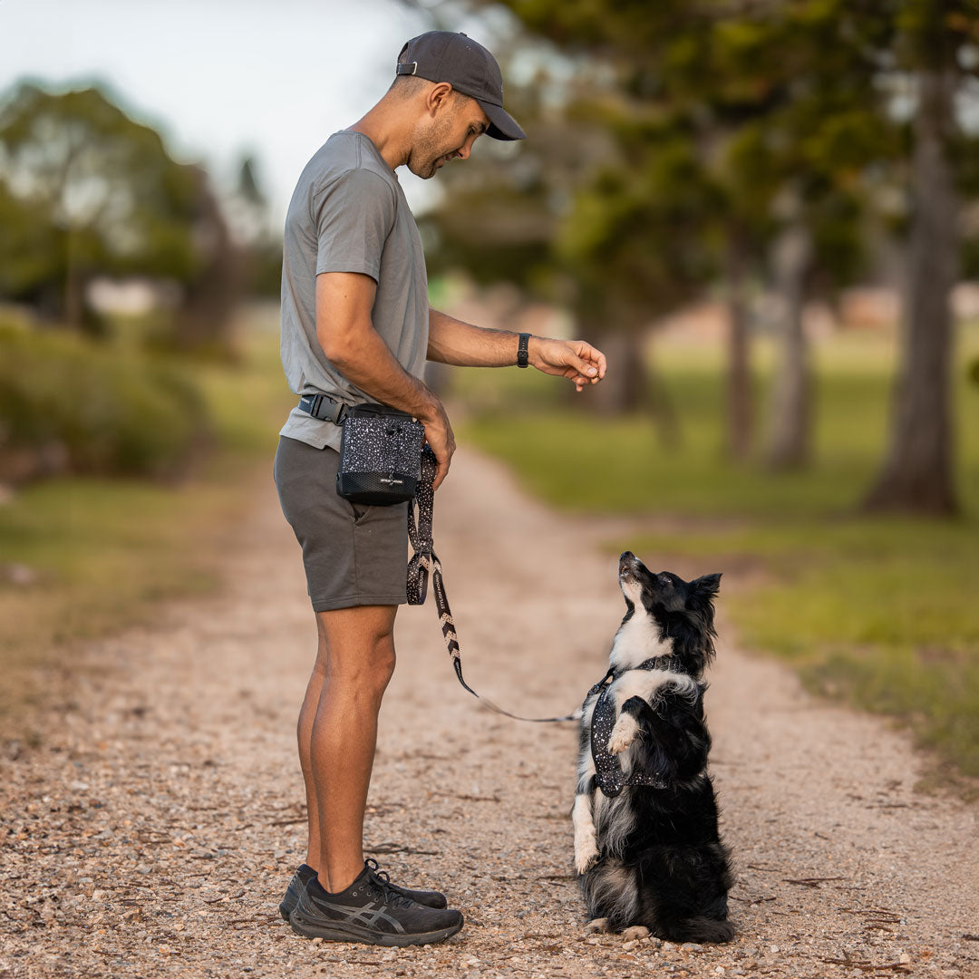 Dog Treat Pouch product image 30