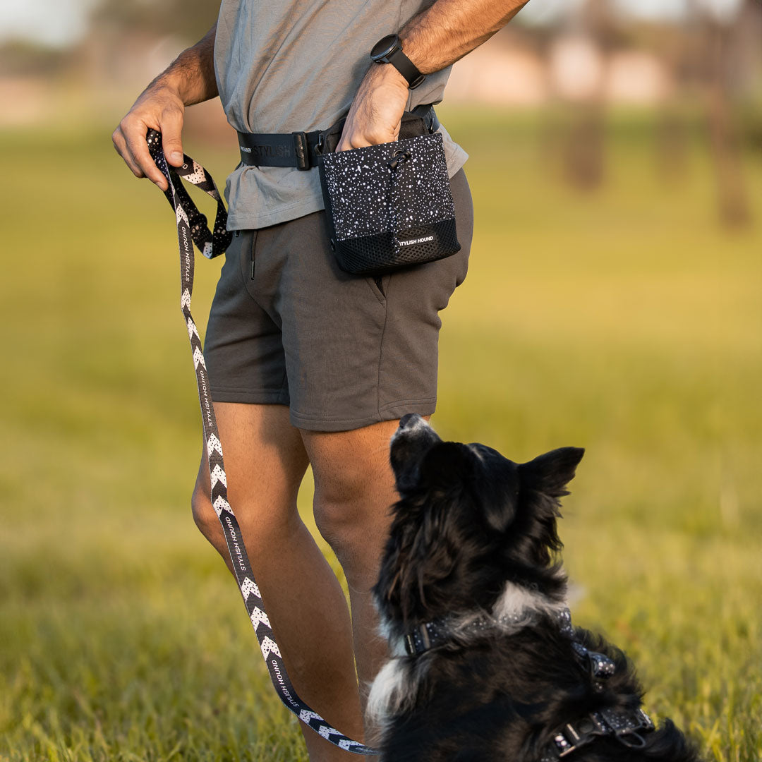 Dog Treat Pouch product image 31