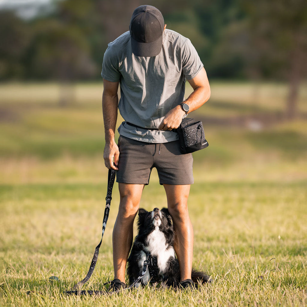 Dog Treat Pouch product image 32