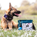 Dog Treat Pouch product image 3