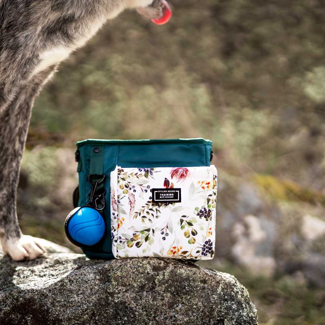 Dog Treat Pouch product image 4