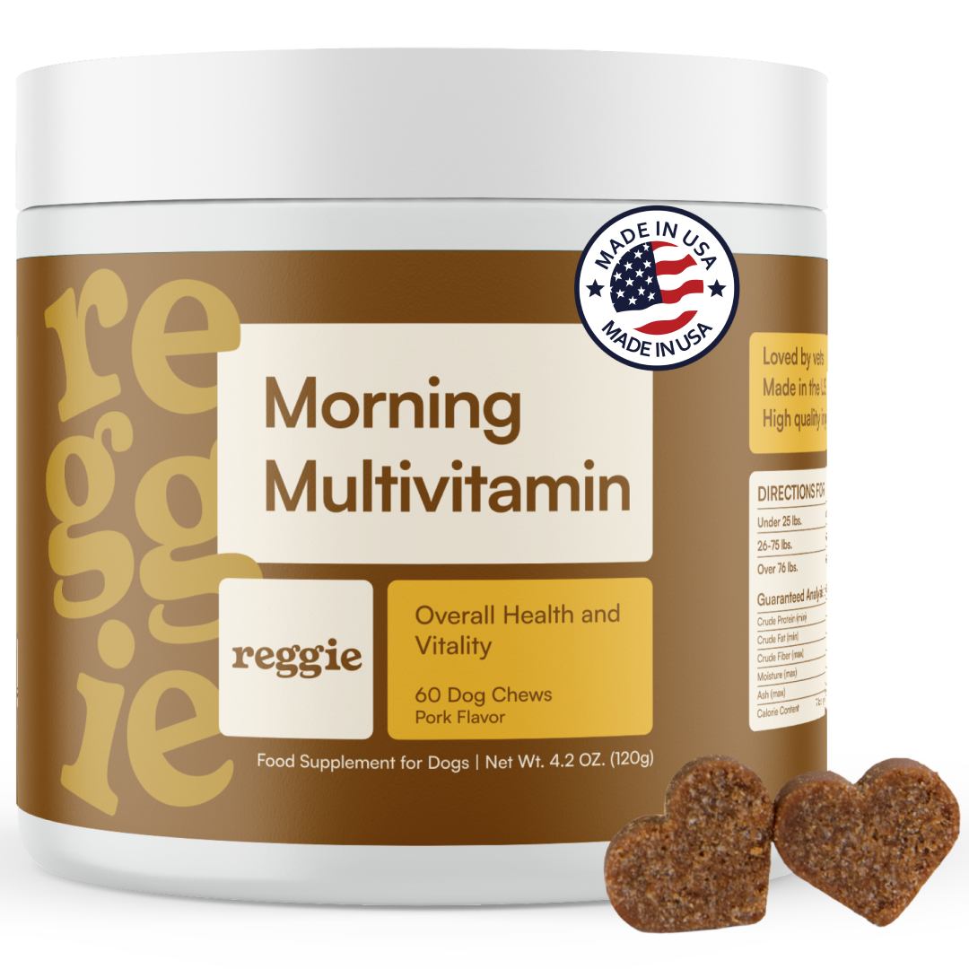 Pet Multivitamin Chew product image 1