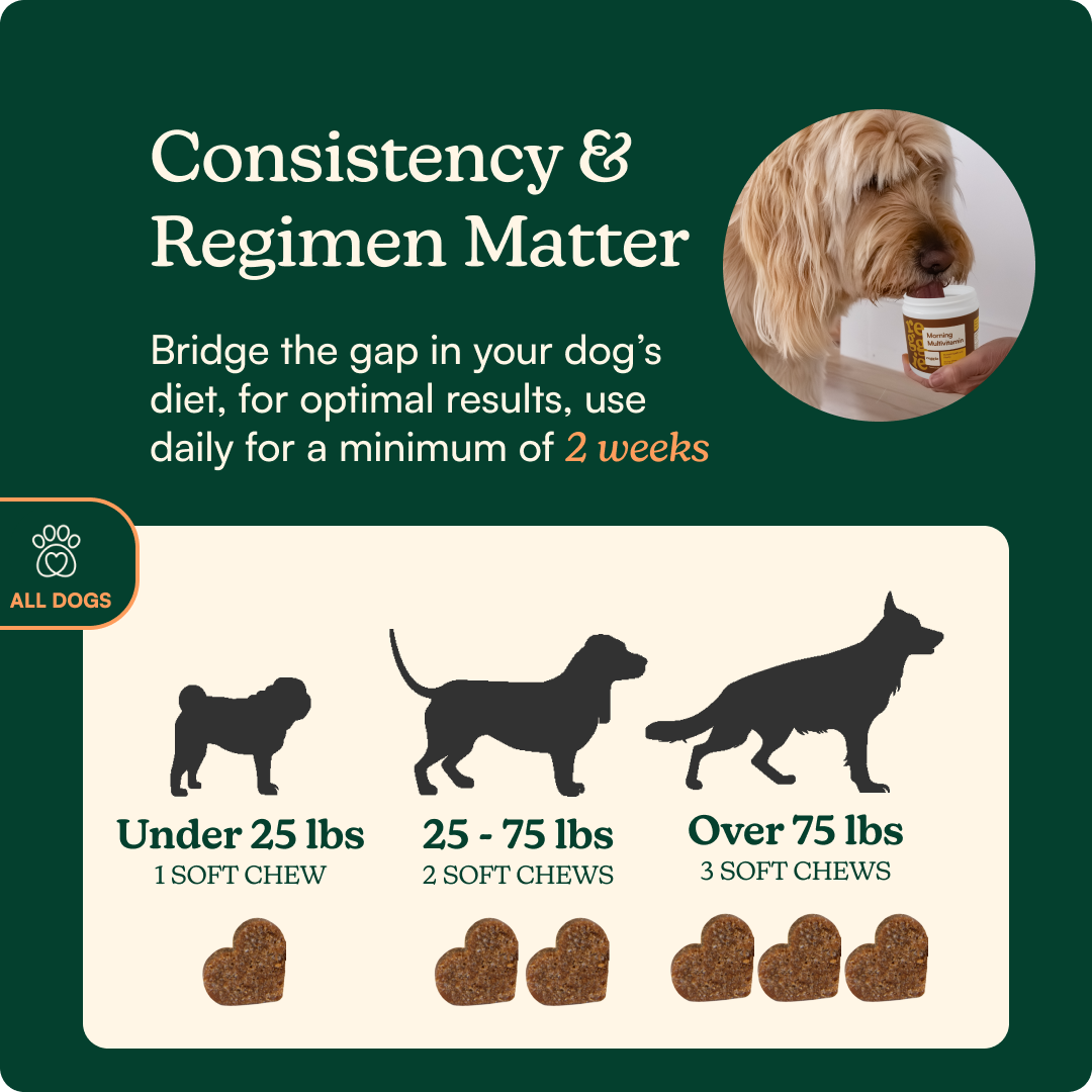 Pet Multivitamin Chew product image 4