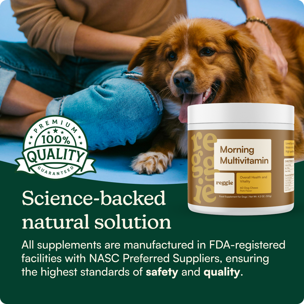 Pet Multivitamin Chew product image 5
