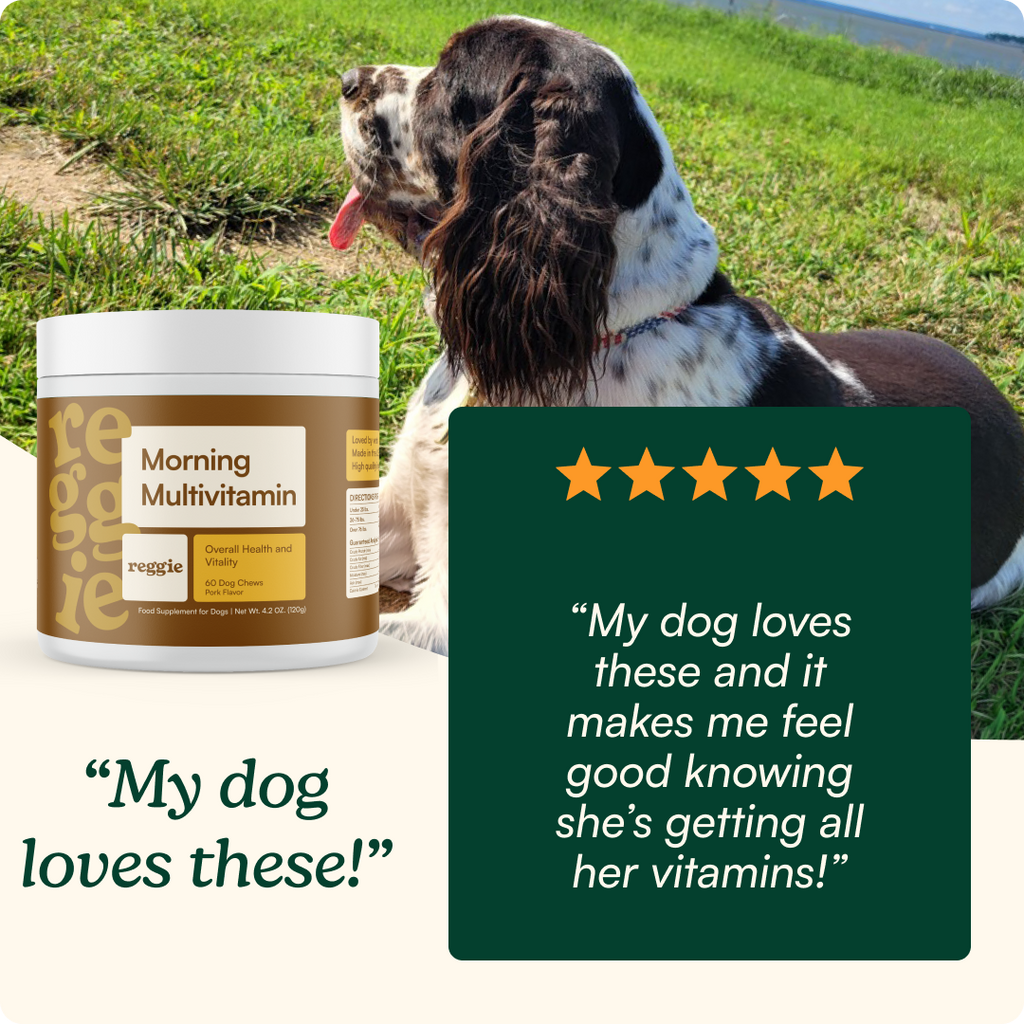 Pet Multivitamin Chew product image 6