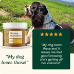 Pet Multivitamin Chew product image 6