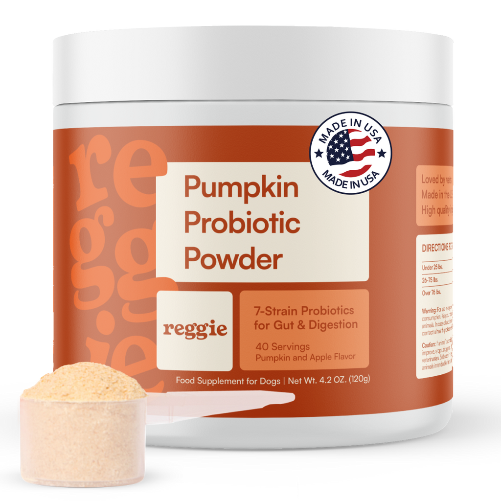 Dog Probiotic Powder product image 1